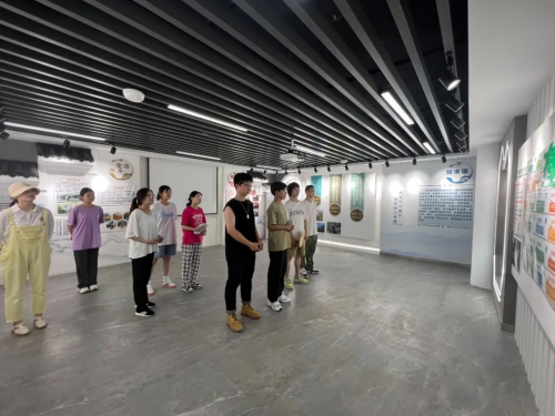 三江学院建筑学院开展暑期“三下乡” ,乡村文化墙调研及优化提升设计活动